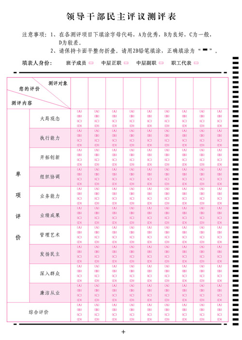 领导干部测评系统